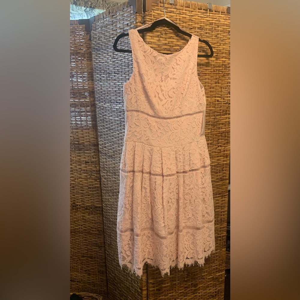 Eliza J Pink Lace Dress